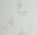 Ion