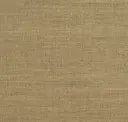 Pumice