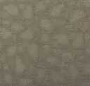 Sandstorm