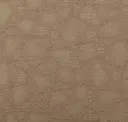 Sahara