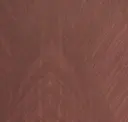 Cranberry