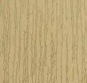 Desert Lily