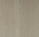 Poplar