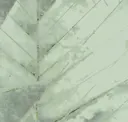 Glacier