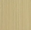 Cotton Seed