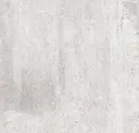 Arctic Shell