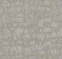 Tarnished Taupe