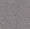 8804