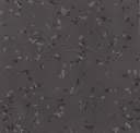 8806