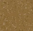 8825
