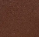 Cinnamon Brown