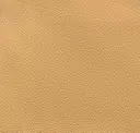Pumpkin Seed Beige