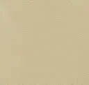 Rose Pearl Beige