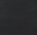Charcoal Black