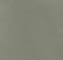 Abalone Grey