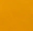 Mustard Yellow