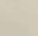Ivory White