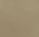 Light Hazelnut Beige