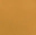 Pumpkin Seed Yellow