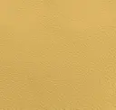 Egg Nog Yellow