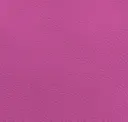 Fucsia Pink