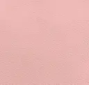 Flamingo Pink