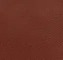 Maroon Red