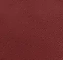 Carmine Red