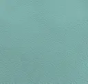 Marine Blue Green