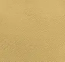 Cream Beige