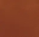 Cinnamon Cognac
