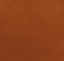Amber Cognac
