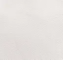 Ultra White