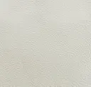 Basic Pearl White