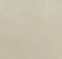 Beige White
