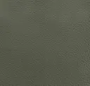 Seal Grey