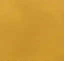 Mustard Yellow