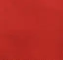 Scarlet Red