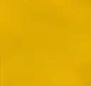 Sunflower Yellow