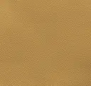 Pearl Beige