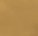 Eggnog Beige