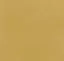 Camel Beige