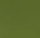 Jungle Green