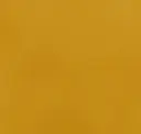 Pumpkin Yellow