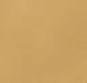 Pumpkin Seed Beige