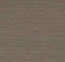 Elm