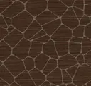Cocoa