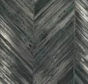 Eucalyptus