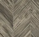 Cocoa