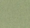 Green Olive